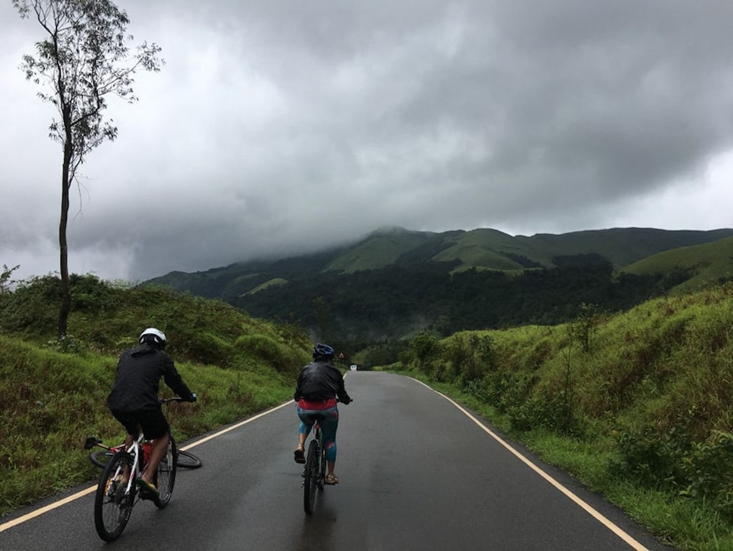 Cycling in Munnar & Periyar: The High Range Expedition 4 Days